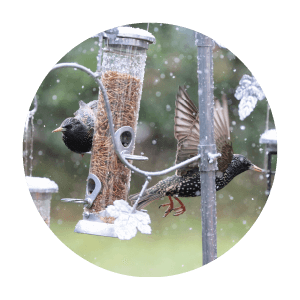 Henry Bell Christmas gifts 1