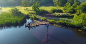 Dorset attractions ready to welcome more Deaf visitors - Moors Valley Country Park