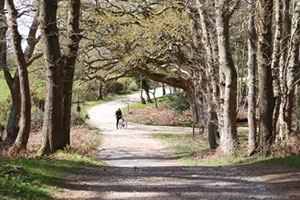 Dorset attractions ready to welcome more Deaf visitors - Arne