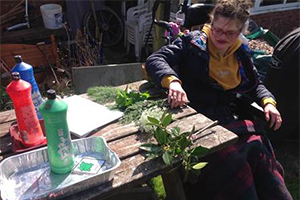 Free activity resources