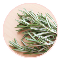 Purchase a house plant reduce anxiety