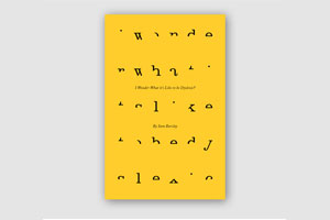 I Wonder What it’s Like to be Dyslexic? book